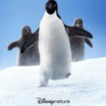 Penguins (2019) HDTV