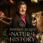 Fantastic Beasts: A Natural History (2022) ซับไทย