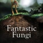 Fantastic Fungi เห็ดมหัศจรรย์ (2019)