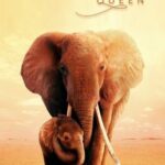 The Elephant Queen อัศจรรย์ราชินีแห่งช้าง (2019)